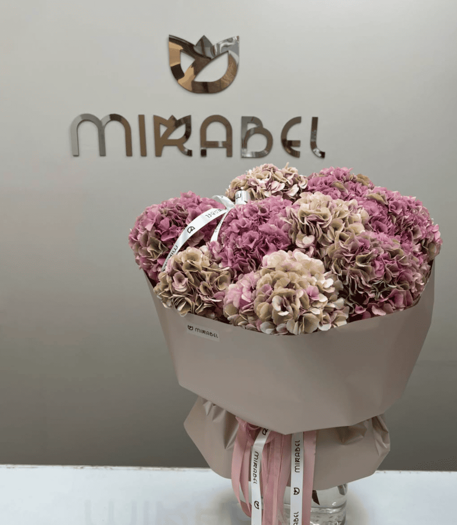 Mirabel